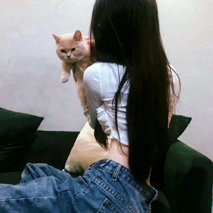 孤夜寻凶